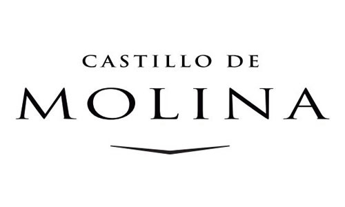 LOGO_CASTILLO_DE_MOLINA